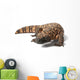 Gila Monster Heloderma Suspectum Wall Decal