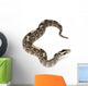 Rhinoceros Viper River Jack Wall Decal