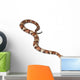 Copperhead snake or highland moccasin - Agkistrodon contortrix Wall Decal
