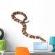 Copperhead snake or highland moccasin - Agkistrodon contortrix Wall Decal