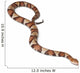 Copperhead snake or highland moccasin - Agkistrodon contortrix Wall Decal