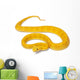 Yellow Eyelash Viper - Bothriechis Schlegelii Poisonous Wall Decal