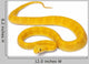 Yellow Eyelash Viper - Bothriechis Schlegelii Poisonous Wall Decal