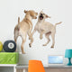 Young Labrador Retriever 4 Wall Decal