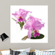 Cattleya Lueddemanniana Wall Mural