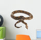 Snake BOA Snake Released Wall Decal