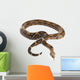 Snake BOA Snake Released Wall Decal