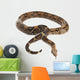 Snake BOA Snake Released Wall Decal