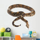 Snake BOA Snake Released Wall Decal