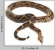 Snake BOA Snake Released Wall Decal