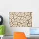 Cracked Wall Decal