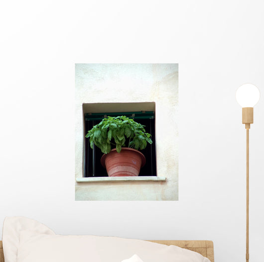Basil Window Wall Mural