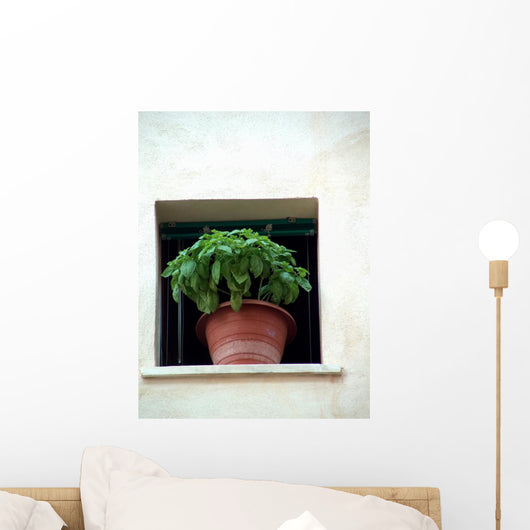 basil_window Wall Mural