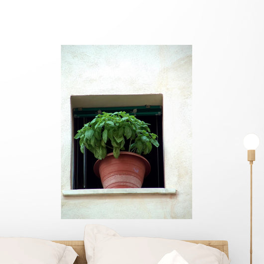 basil_window Wall Mural