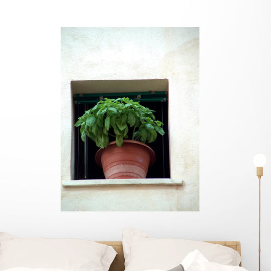 basil_window Wall Mural