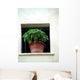 basil_window Wall Mural