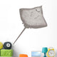 3D Render Stingray Animal Wall Decal