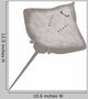 3D Render Stingray Animal Wall Decal
