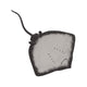 3d Render of Stingray Animal Wall Decal