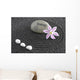 Zen Garden With Stone of Energy Wall Mural