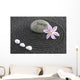Zen Garden With Stone of Energy Wall Mural