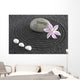 Zen Garden With Stone of Energy Wall Mural