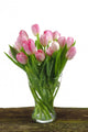 Tulpen Blumenstrauss Wall Mural