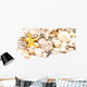 Seashells. Wall Decal