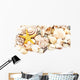 Seashells. Wall Decal