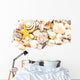 Seashells. Wall Decal