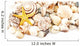 Seashells. Wall Decal