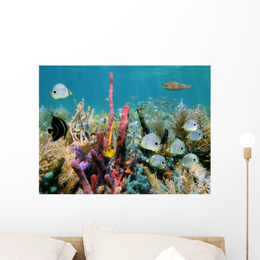 Colorful Seabed