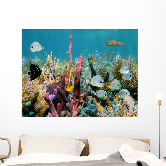 Colorful Seabed