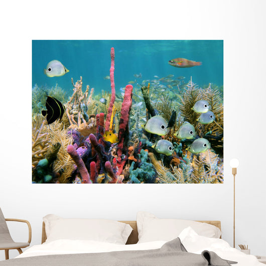 Colorful Seabed