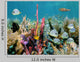 Colorful Seabed