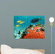 Lagoon and Its Inhabitant