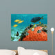 Lagoon and Its Inhabitant