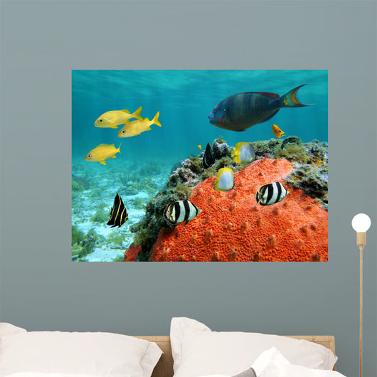 Lagoon and Its Inhabitant