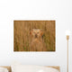 Golden Retriever im Feld Wall Mural