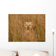 Golden Retriever im Feld Wall Mural