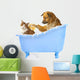 Cat Wash Dog and Cat in Bath Wall Decal