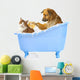 Cat Wash Dog and Cat in Bath Wall Decal