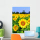 Sunflower Field Wall Decal