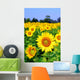 Sunflower Field Wall Decal