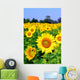 Sunflower Field Wall Decal