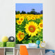 Sunflower Field Wall Decal