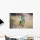 Quaker Parrot Na Krzaku Wall Mural