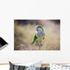Quaker Parrot Na Krzaku Wall Mural