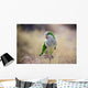 Quaker Parrot Na Krzaku Wall Mural