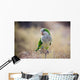 Quaker Parrot Na Krzaku Wall Mural